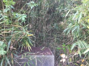 thumb_img_6438_1024