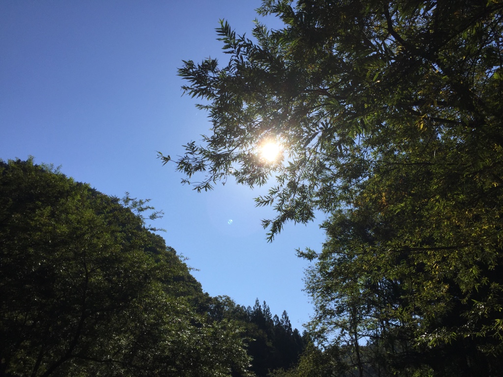 thumb_img_6106_1024