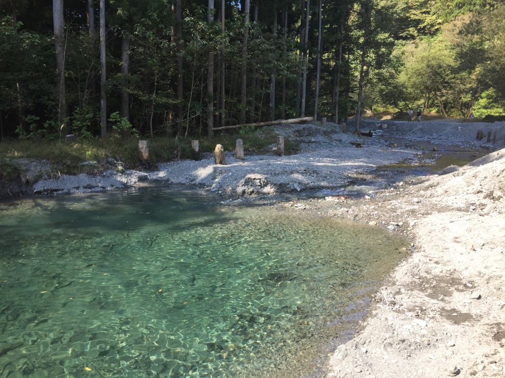 thumb_img_6135_1024