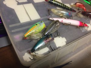 thumb_img_6333_1024