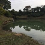 秋バスを訪ねて、野池めぐり(゜д゜)