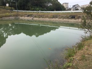 thumb_img_6348_1024