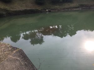 thumb_img_6350_1024