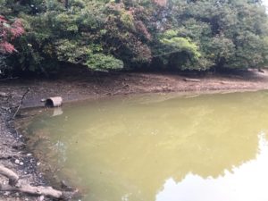 thumb_img_6358_1024