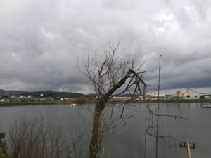 thumb_img_6386_1024