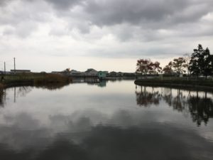 thumb_img_6388_1024