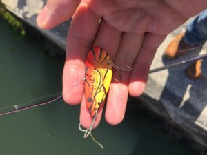 UNADJUSTEDNONRAW_thumb_170