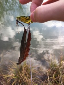 UNADJUSTEDNONRAW_thumb_174