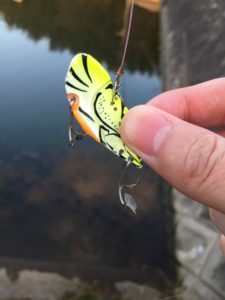 UNADJUSTEDNONRAW_thumb_17e