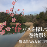 春バスを探して、巻物祭り