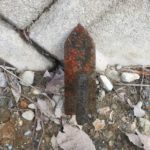 冬バスを追いかけて、野池巡り