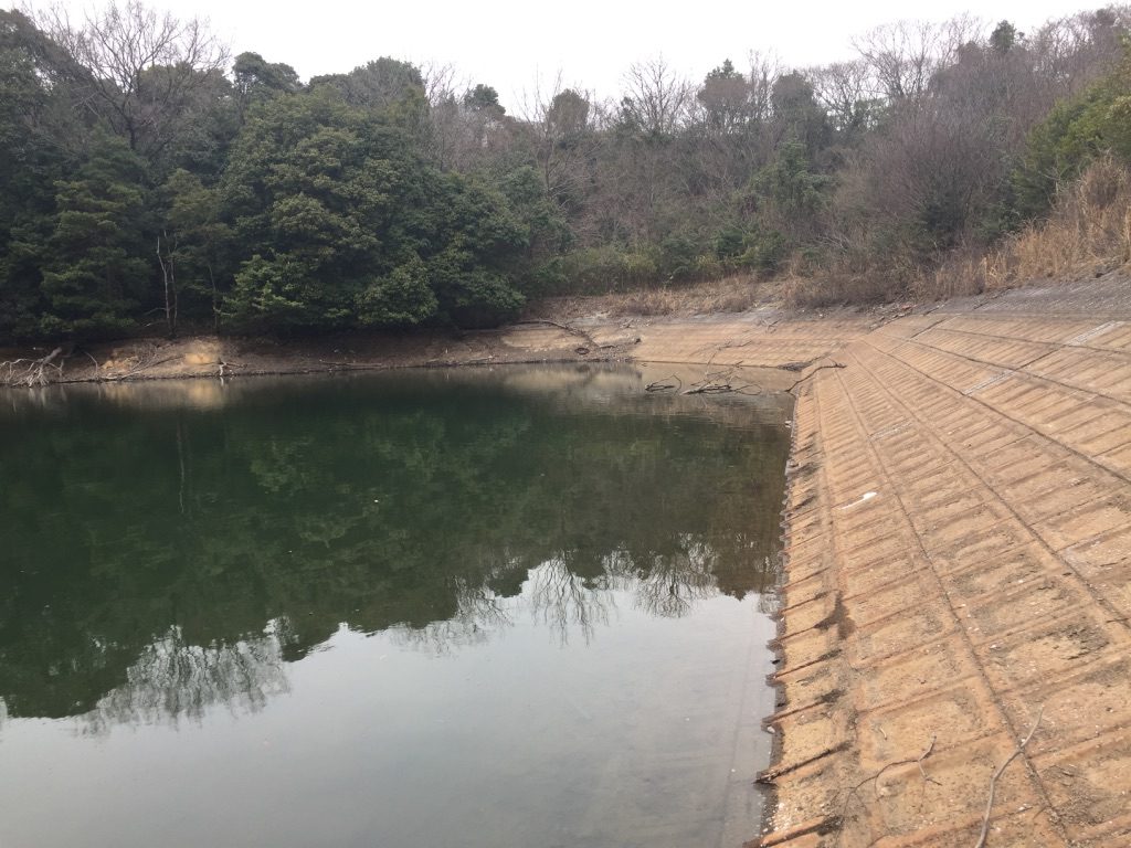 スピナベオススメ場所2