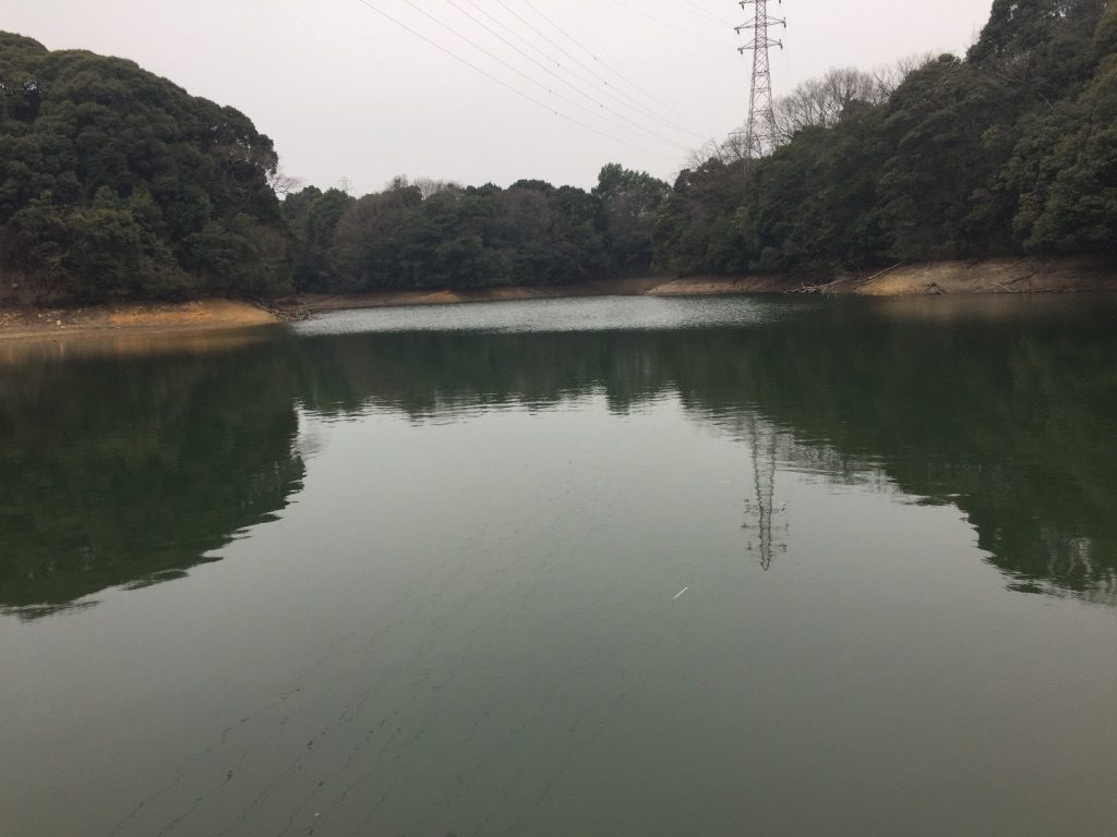 スピナベオススメ場所1