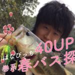 巻物で春バスを探して！40UP連発回?!