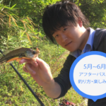 【バス釣り】アフター時期の楽しみ方