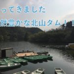 【バス釣り】北山ダムのバス釣りと自然をボートで満喫しよう!