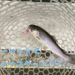 【トラウト】GWはとしまえんでお手軽魚釣り!