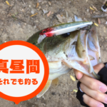 【バス釣り】猛暑をミノーで攻略!暑くても真昼間に釣る方法とは?
