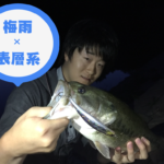 【バス釣り】梅雨は表層系ルアーで釣ろう