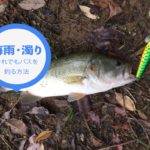 【バス釣り】梅雨の濁りでもバスを釣る方法