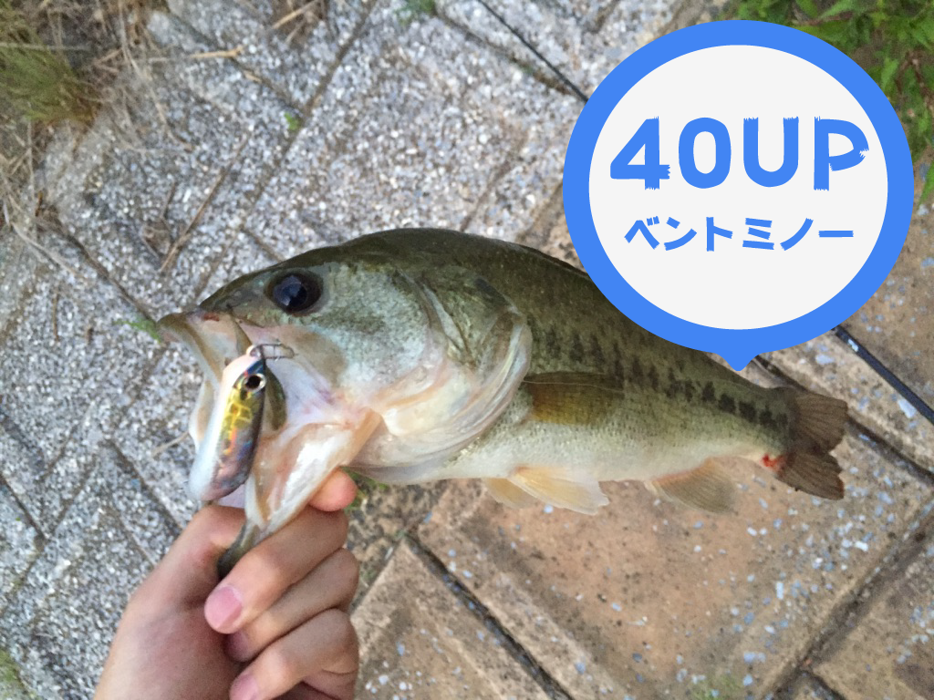 バス釣り 梅雨は表層系ルアーで釣ろう Aquabit Link