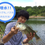 【バス釣り】梅雨の増水時はワームで中層狙いがおすすめ!