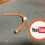 【バス釣り】初心者にオススメの必殺ワームリグ、ネコリグ作成講座動画編!