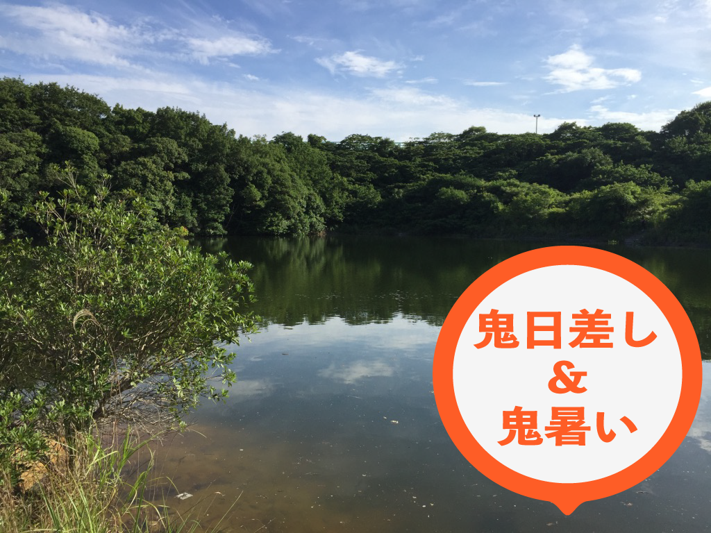 バス釣り 福岡県の野池で釣りたいなら夏は虫パターン Aquabit Link