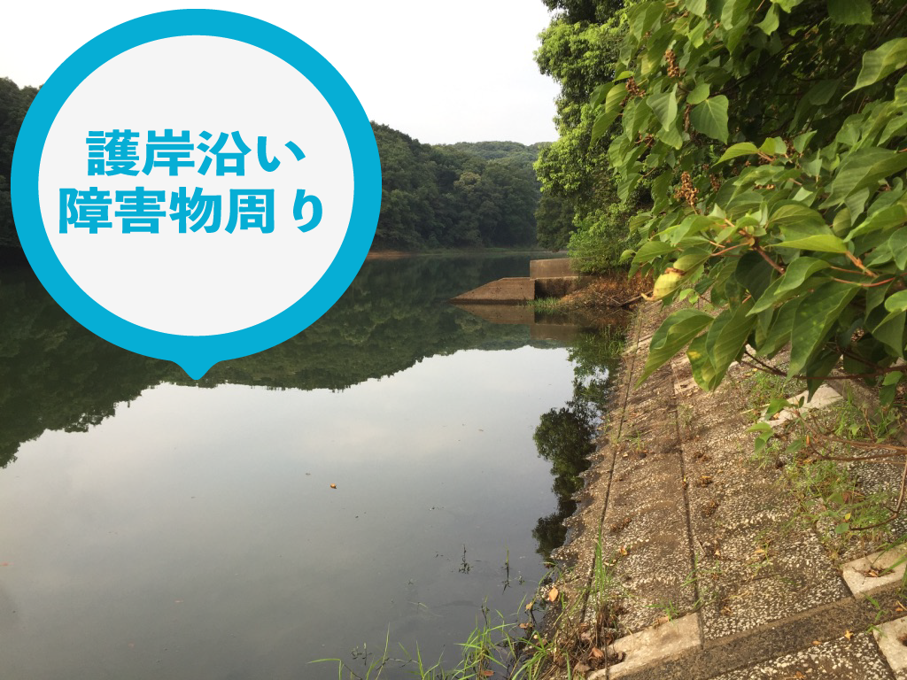 ポッパーの使い所・護岸沿い