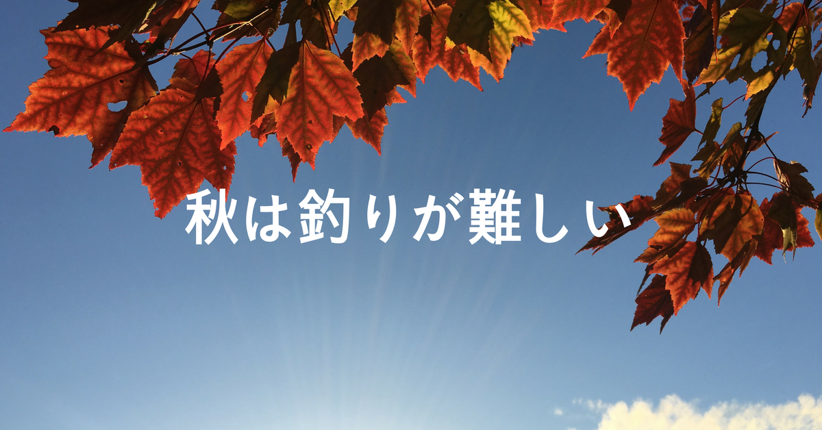 秋の準備は大丈夫 秋のバス釣りにオススメルアーを３つ紹介 Aquabit Link