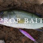 【バス釣り】夏の夕暮れとプロップフィッシュに癒されて!