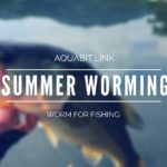 【バス釣り】夏場にワームを使ってバスを手軽に釣るたった1つの方法