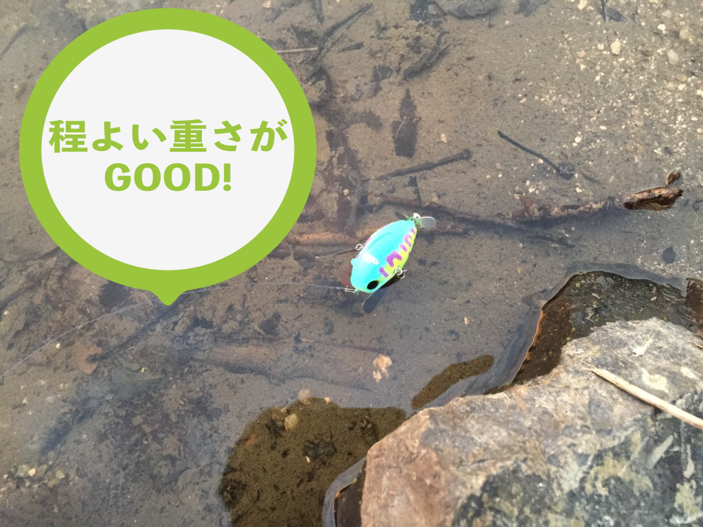 ポンパドールの画像2