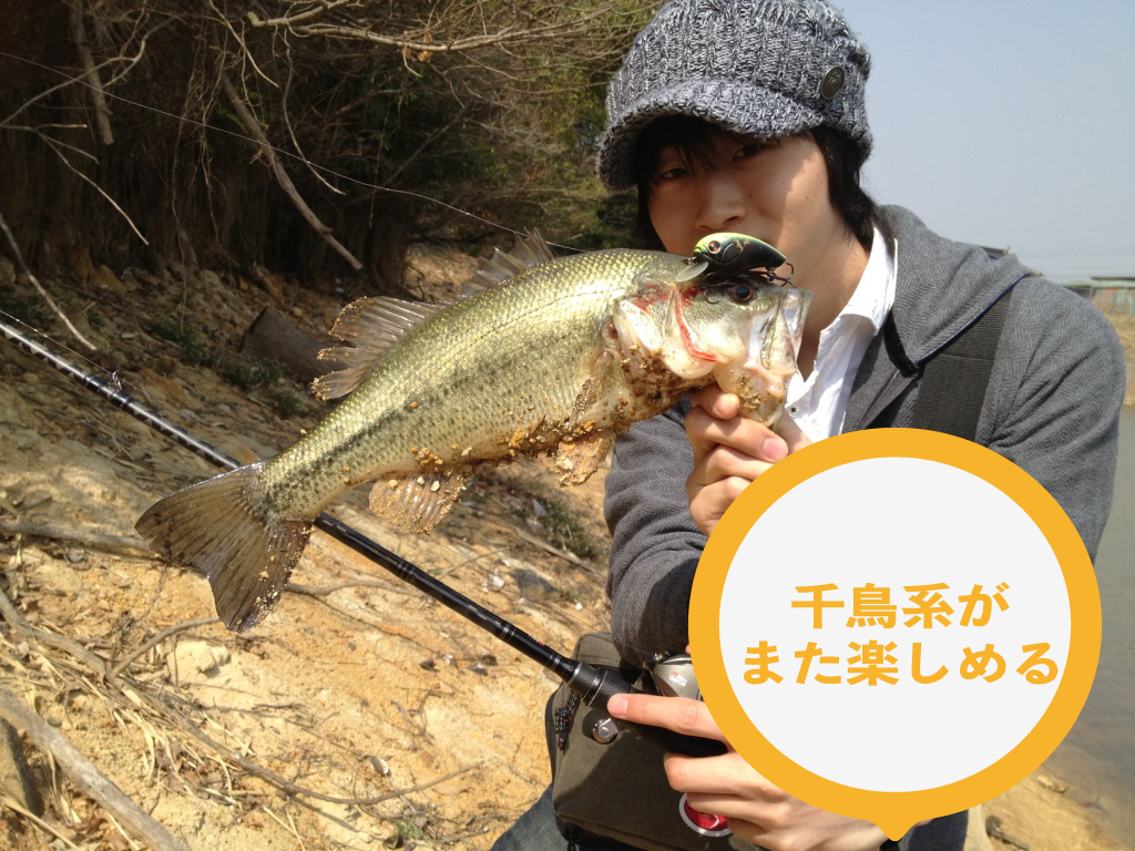ワイルドバッツ サムネ