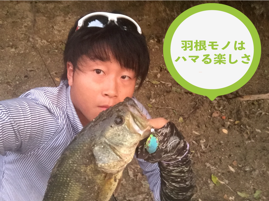 ポンパドール画像5