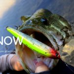 【バス釣り】ミノーで釣るための絶対覚えておきたい３つの使い方！