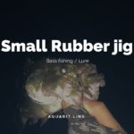 【バス釣り】数を釣りたい方限定！スモラバで外さない釣りを満喫しよう