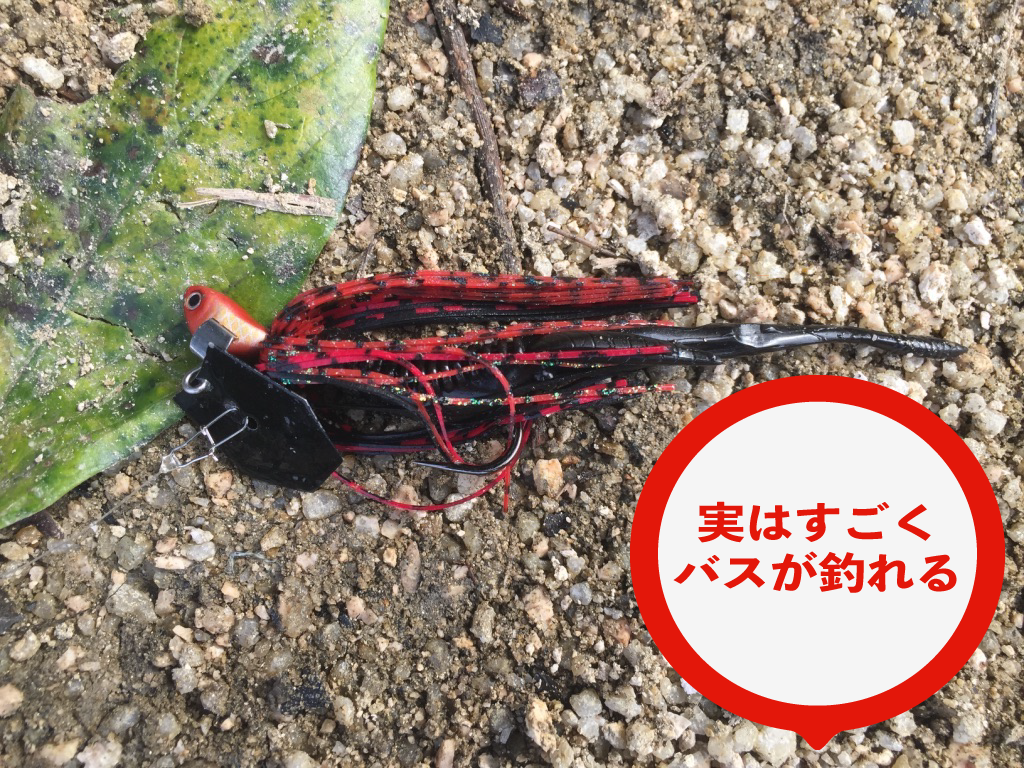ケース画像2