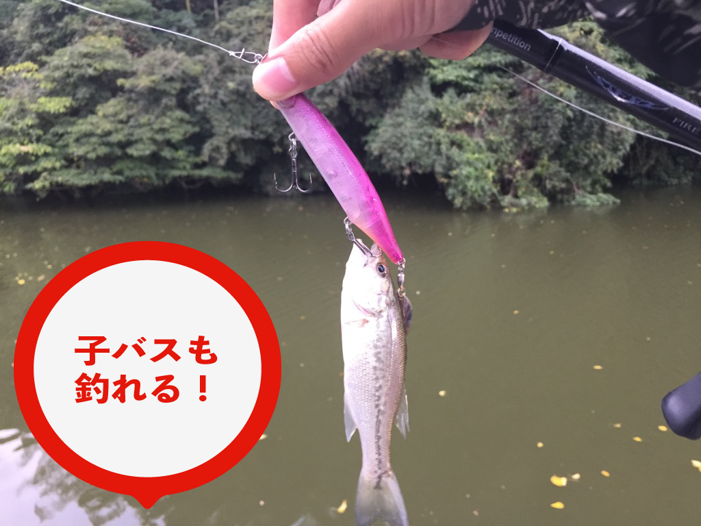 はすごっぷ2