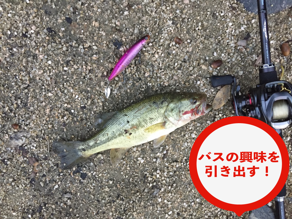 はすごっぷ3