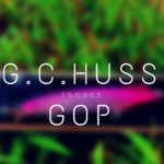 【バス釣り】一誠 ハスゴップが釣れそうなポイント3点！