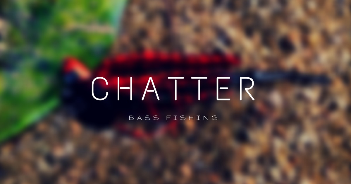 【バス釣り】チャターベイトで釣るために大事な3つのポイント！