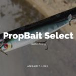 【バス釣り】プロップベイトで釣りたい方必見！オススメルアー3選