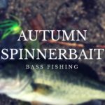 秋のバス攻略にはスピナーベイトを巻くのがオススメ！