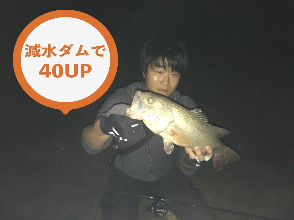 キャラメルシャッドの釣果