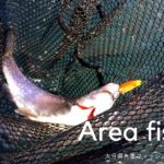 【管理釣り】大分県九重のフィッシングてらとこに挑む!