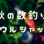 巻物で爆釣れする秋に突入!ソウルシャッドを使った秋の数釣りパターンをご紹介!