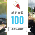 【祝】記事投稿数が100を達成!人気記事の振返りとプレゼント企画もやるよ