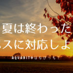 【AQUAコラム vol.1】秋バスの釣り方を徹底解説。釣れる人と釣れない人の違いとは！