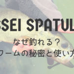 issei沈み蟲の釣れるバックスライドを体感せよ!使い方とセッティングをご紹介!